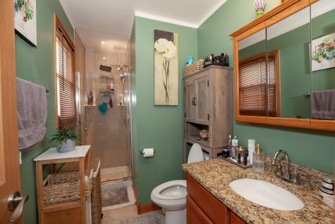 12320 Tim Tam Court Orland Park IL 60467