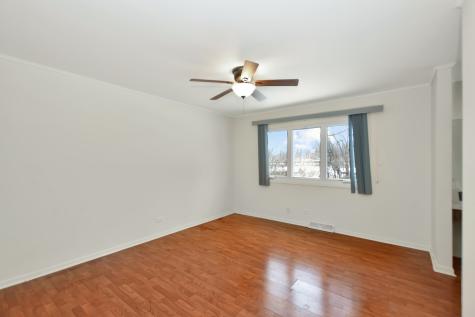 20535 Arcadian Drive Olympia Fields IL 60461