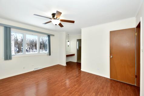 20535 Arcadian Drive Olympia Fields IL 60461