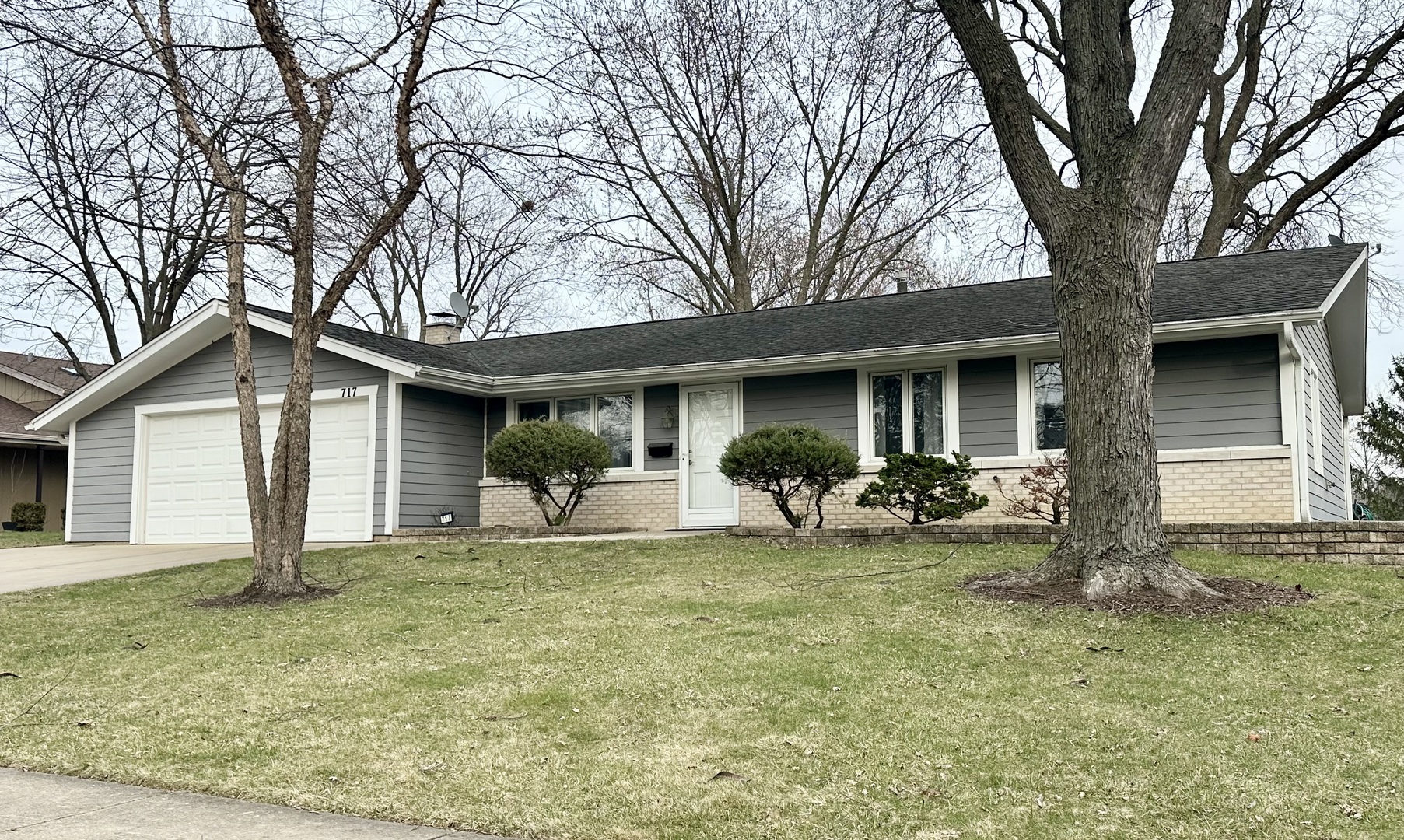 717 Slingerland Drive Schaumburg IL 60193