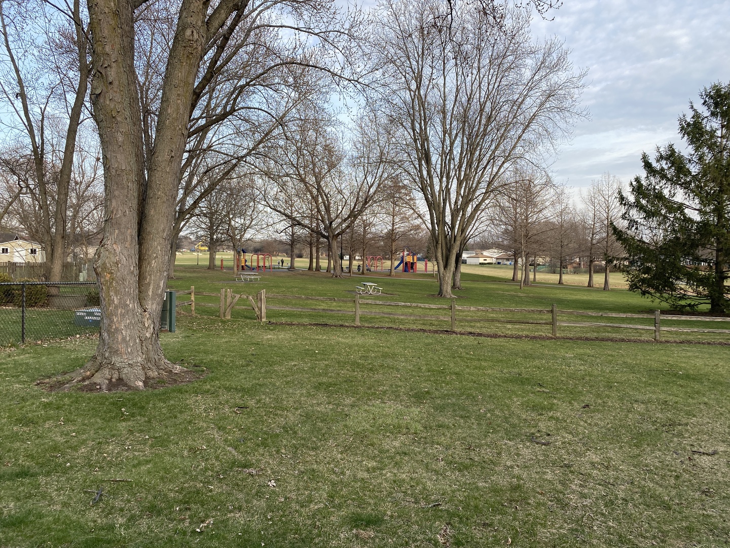717 Slingerland Drive Schaumburg IL 60193