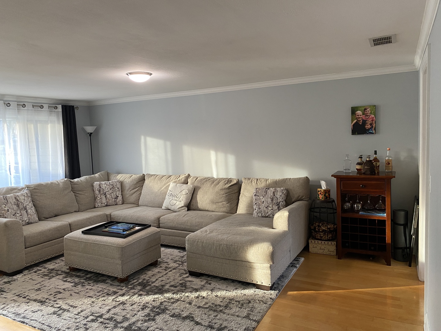717 Slingerland Drive Schaumburg IL 60193