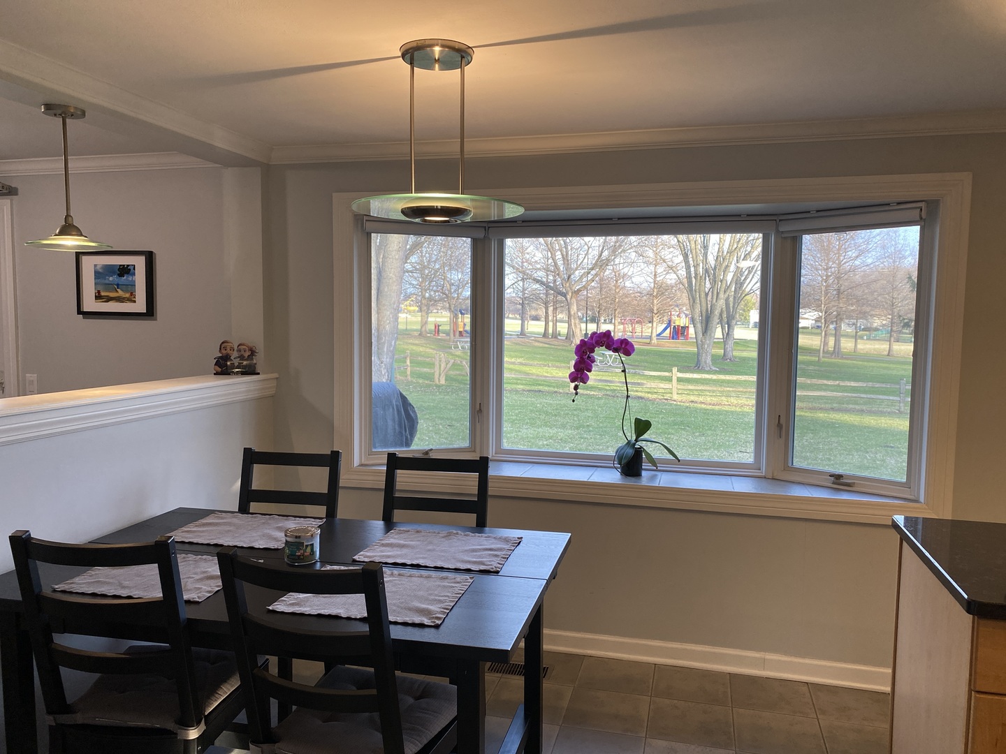 717 Slingerland Drive Schaumburg IL 60193