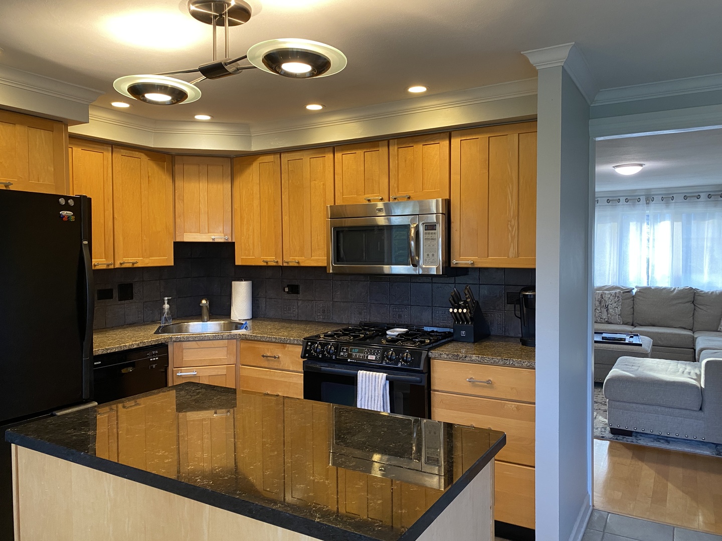 717 Slingerland Drive Schaumburg IL 60193
