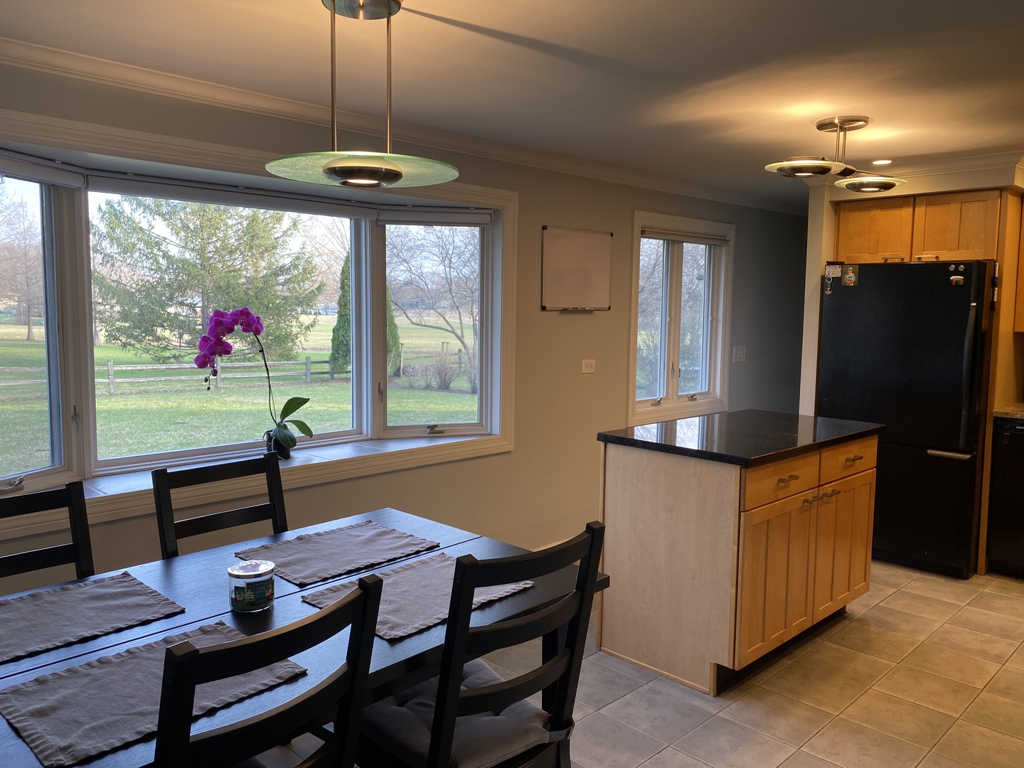 717 Slingerland Drive Schaumburg IL 60193