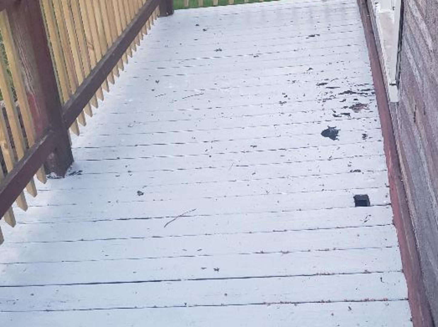 9326 South Manistee Avenue Chicago IL 60617