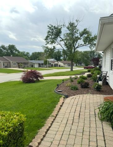 10248 Hibiscus Drive Orland Park IL 60462