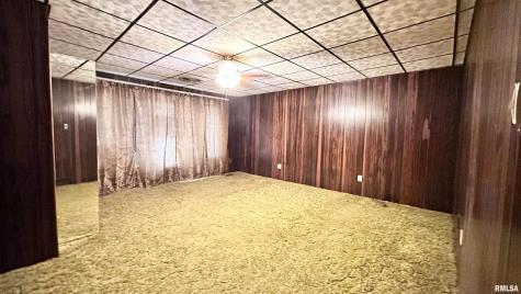 135 Tatia Drive Goreville IL 62896