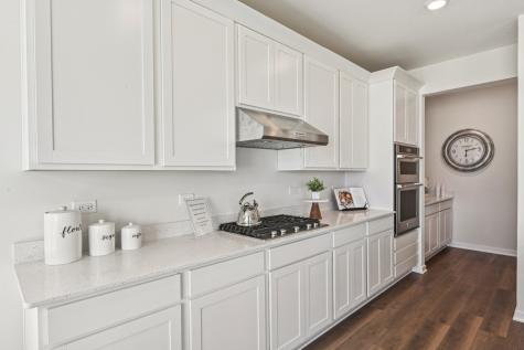 292 Snowdrop Lane Elgin IL 60124