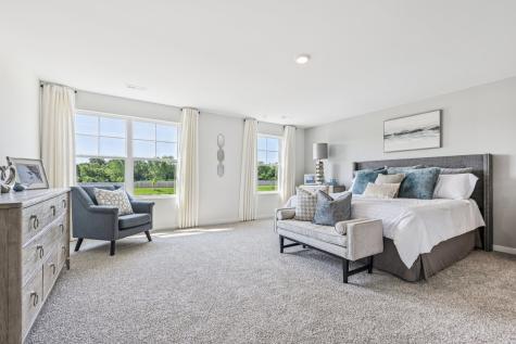 292 Snowdrop Lane Elgin IL 60124
