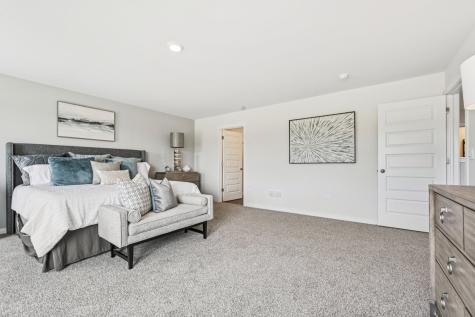292 Snowdrop Lane Elgin IL 60124