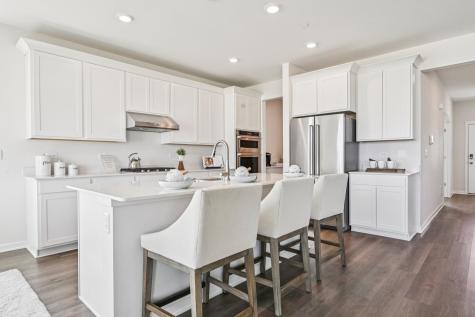 292 Snowdrop Lane Elgin IL 60124
