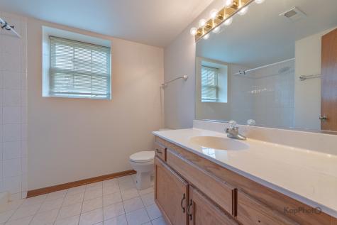 22341 Cornell Avenue Sauk Village IL 60411