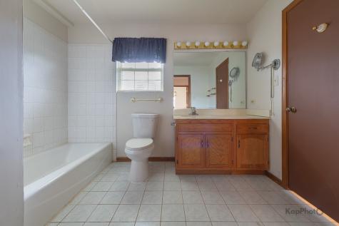 22341 Cornell Avenue Sauk Village IL 60411
