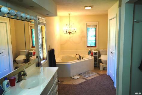 15316 Lake Point Dr Drive Benton IL 62812
