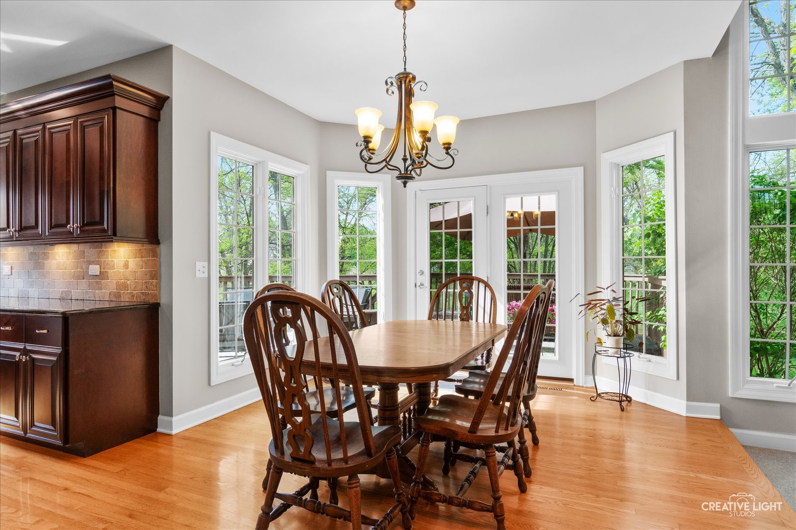 1728 Robert Lane Naperville IL 60564