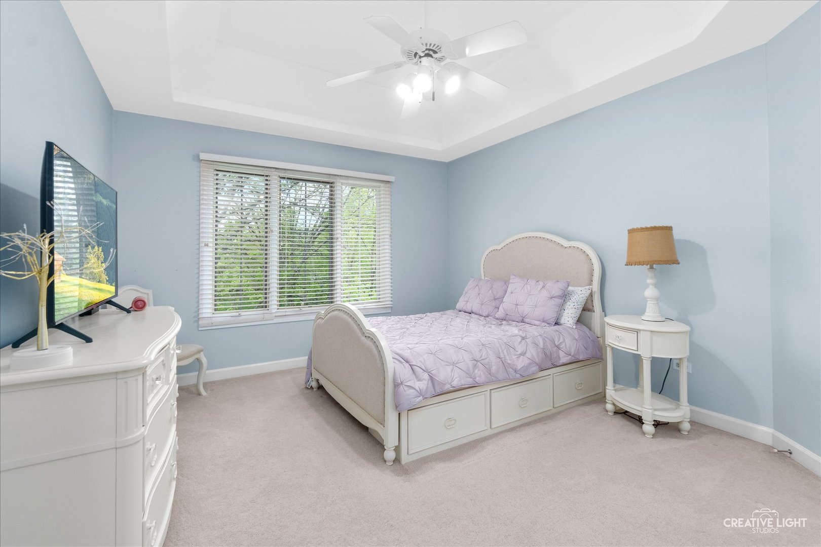 1728 Robert Lane Naperville IL 60564