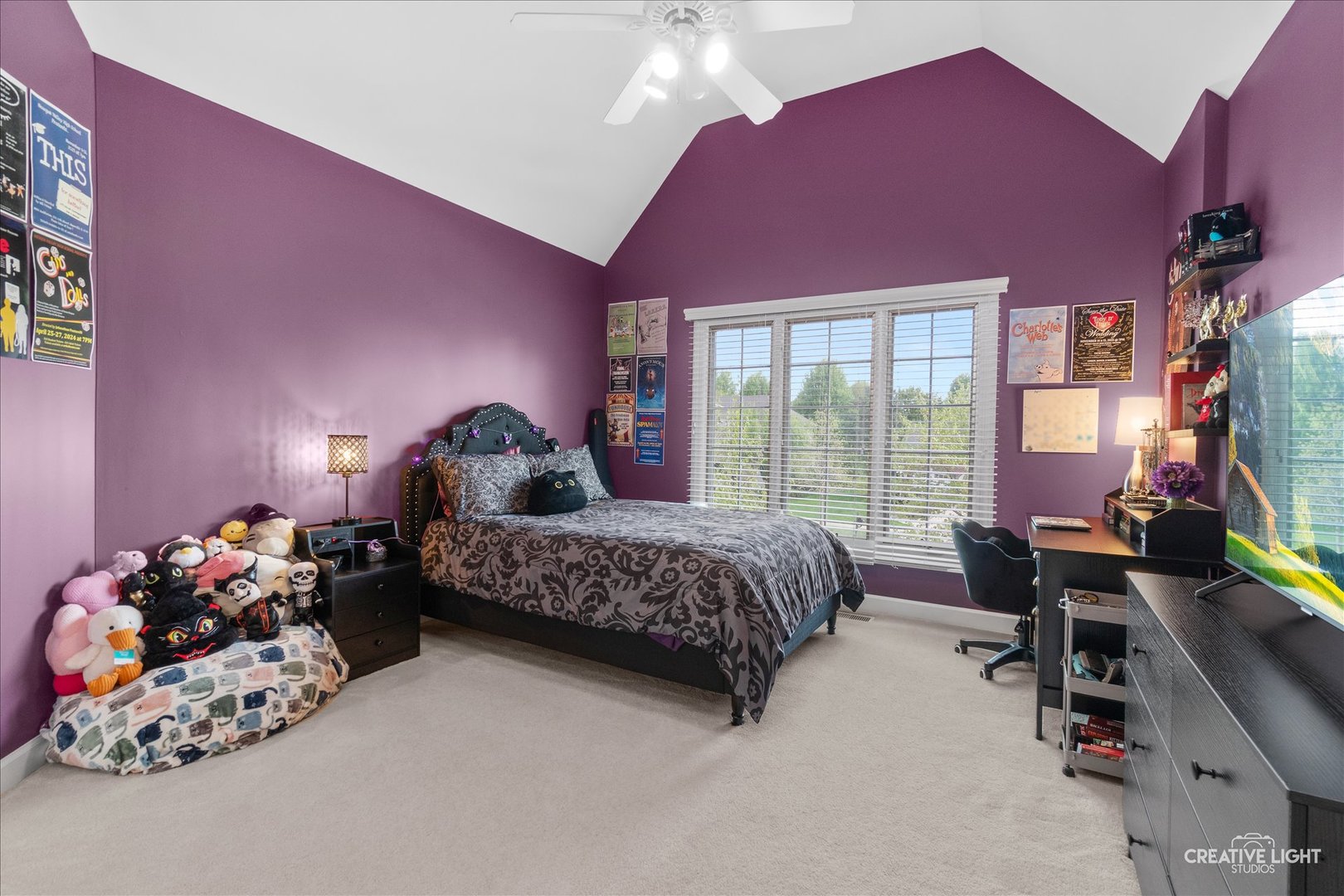 1728 Robert Lane Naperville IL 60564