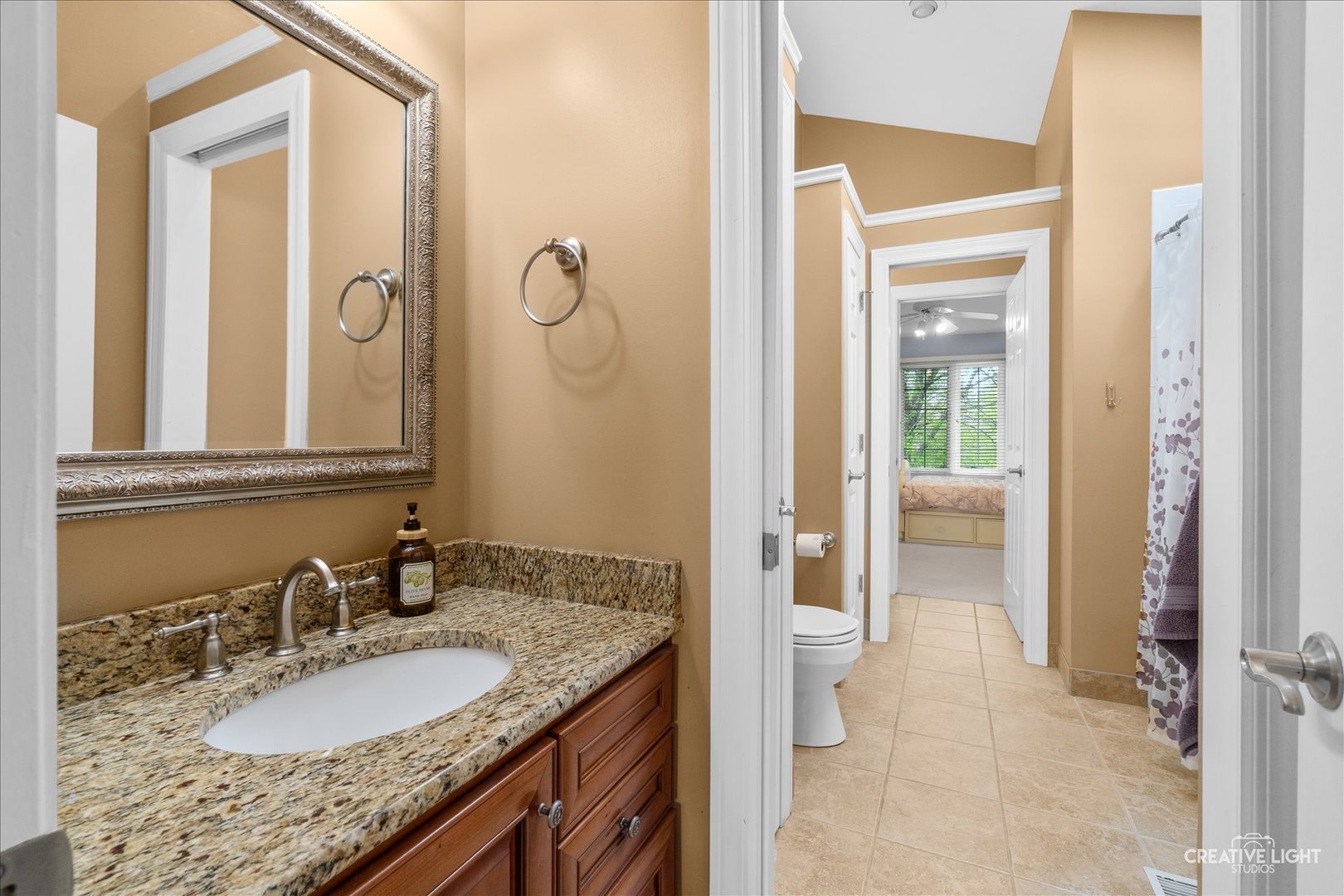 1728 Robert Lane Naperville IL 60564