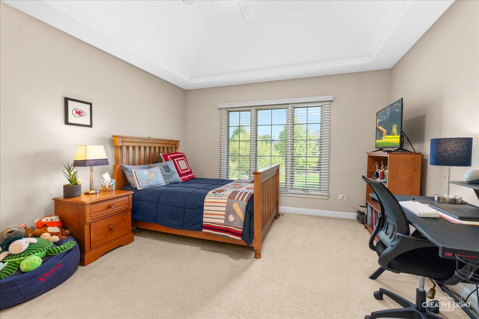 1728 Robert Lane Naperville IL 60564