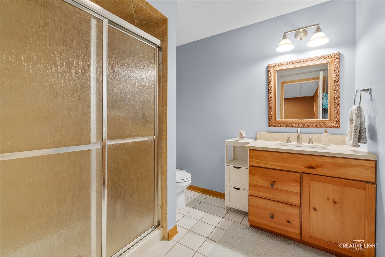 1728 Robert Lane Naperville IL 60564