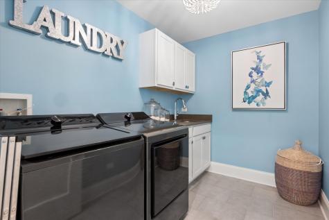 1102 White Pine Lane Western Springs IL 60558