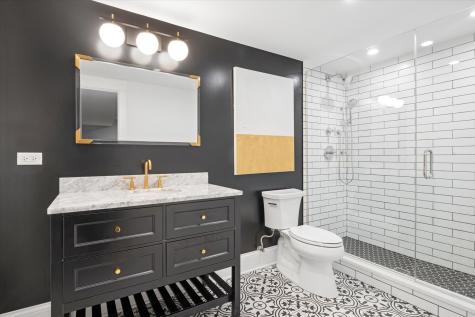 1102 White Pine Lane Western Springs IL 60558