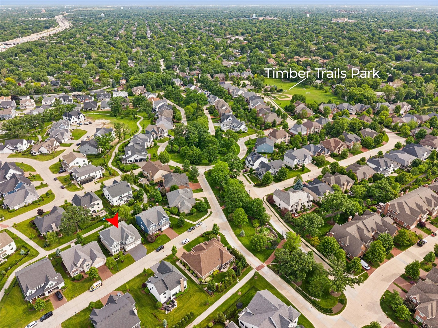 1102 White Pine Lane Western Springs IL 60558