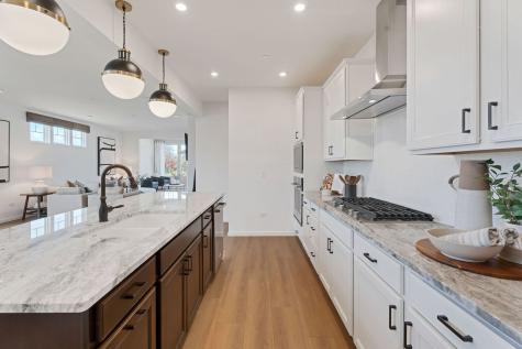 1035 Quarry Court Carol Stream IL 60188