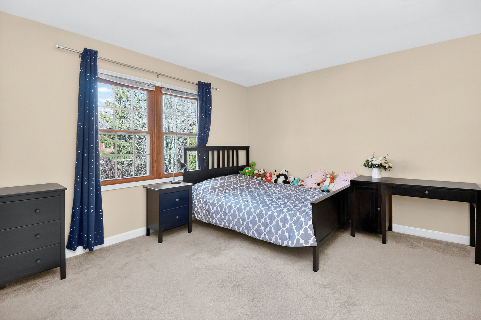 911 Rock Spring Road Naperville IL 60565