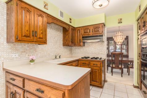 8744 West North Terrace Niles IL 60714