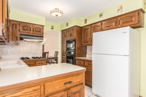 8744 West North Terrace Niles IL 60714