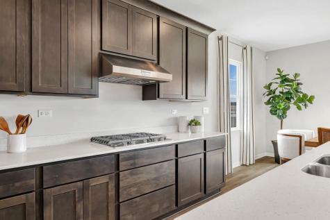 1250 Tiger Lily Drive Bartlett IL 60103