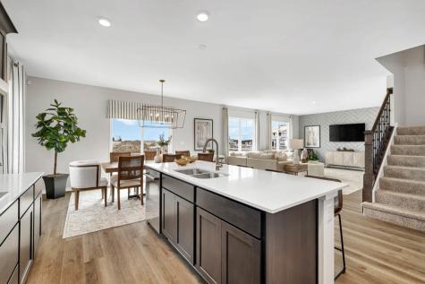 1250 Tiger Lily Drive Bartlett IL 60103