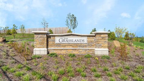 1250 Tiger Lily Drive Bartlett IL 60103