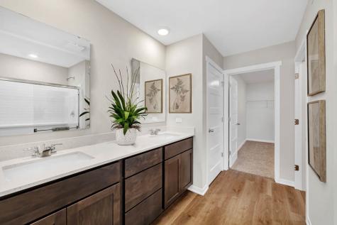 1250 Tiger Lily Drive Bartlett IL 60103