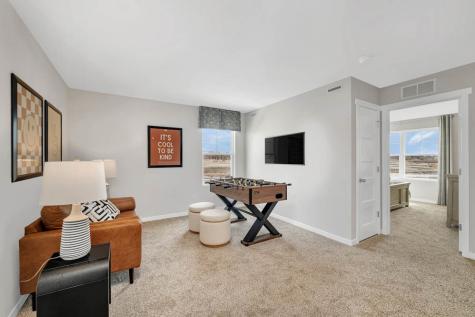 1250 Tiger Lily Drive Bartlett IL 60103