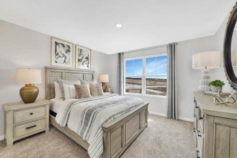 1250 Tiger Lily Drive Bartlett IL 60103