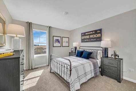 1250 Tiger Lily Drive Bartlett IL 60103