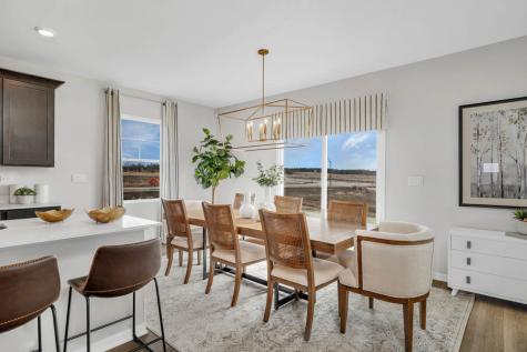 1250 Tiger Lily Drive Bartlett IL 60103