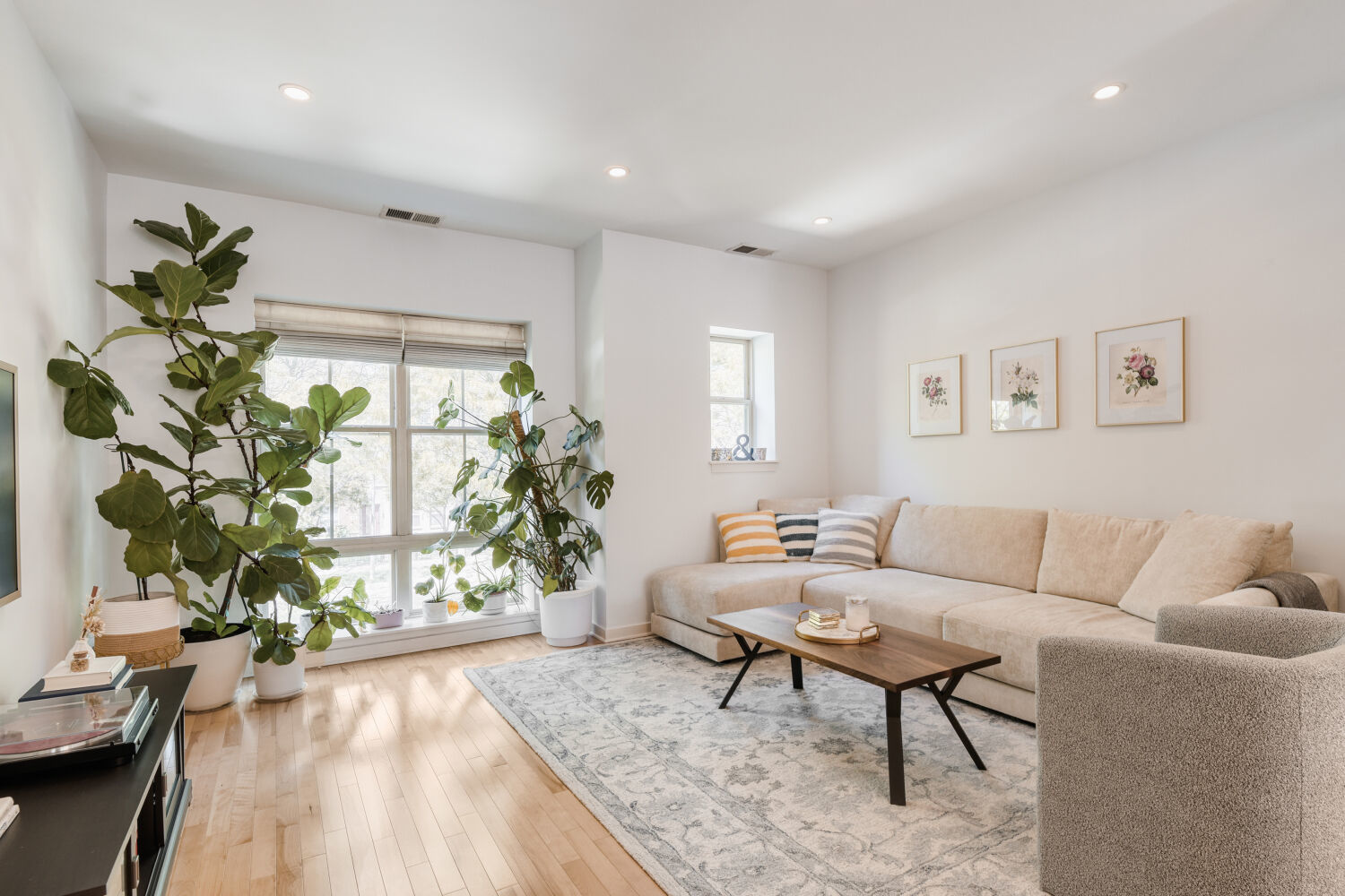1219 West Grenshaw Street Chicago IL 60607