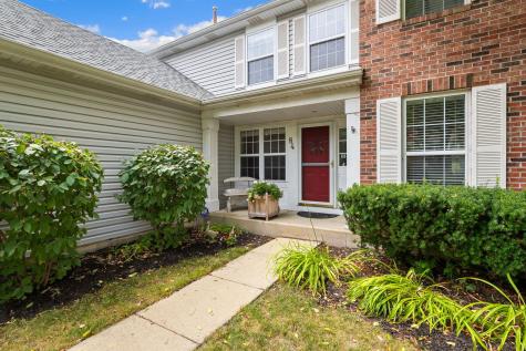 84 North Brittany Lane Hainesville IL 60030