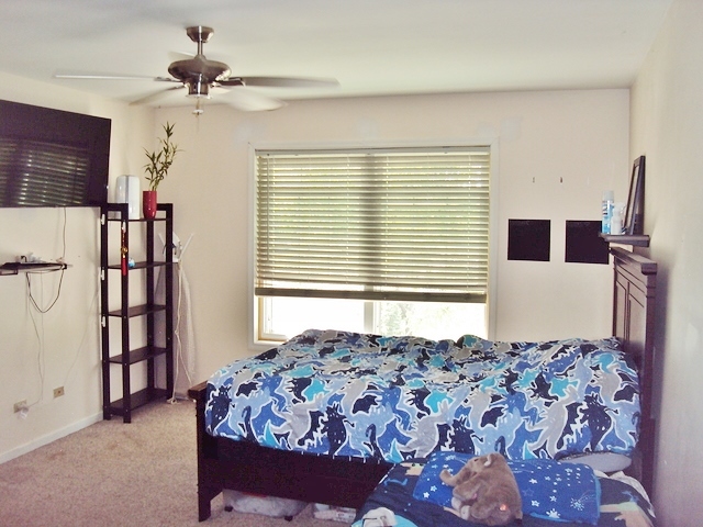 424 Van Gogh Circle Bolingbrook IL 60440