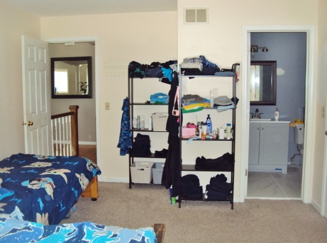 424 Van Gogh Circle Bolingbrook IL 60440