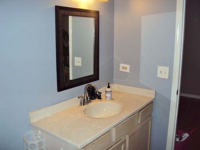 424 Van Gogh Circle Bolingbrook IL 60440