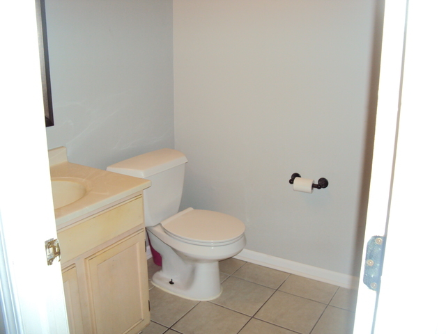 424 Van Gogh Circle Bolingbrook IL 60440