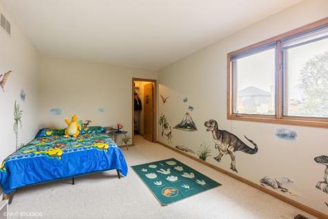 10401 Bloomfield Drive Palos Park IL 60464