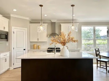 15959 Prairie View Court New Lenox IL 60451