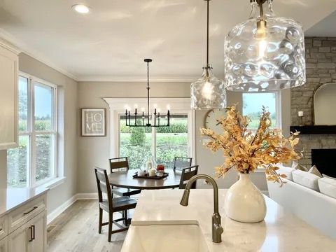 15959 Prairie View Court New Lenox IL 60451