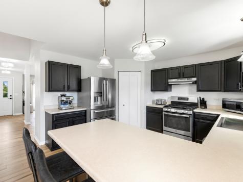289 West Daisy Circle Romeoville IL 60446